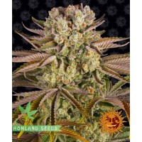 Pineapple Express Pineapple Express