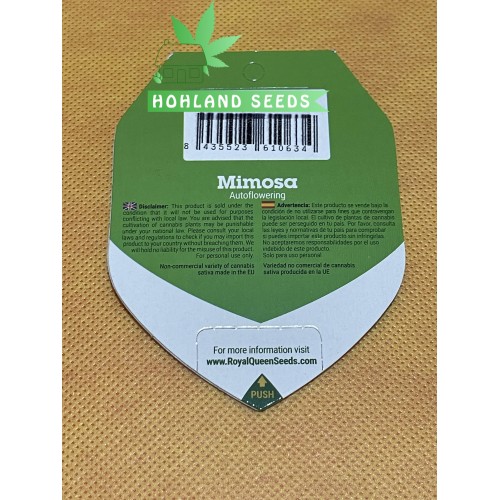 Mimosa Automatic
