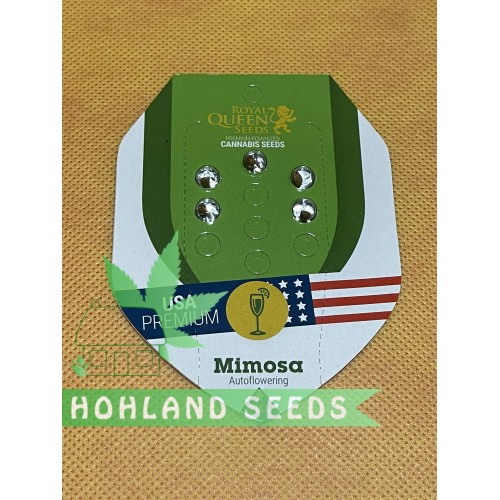 Mimosa Automatic