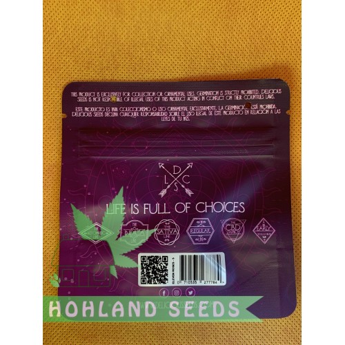 Critical Sensi Star Critical Sensi Star