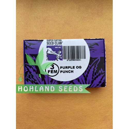 Purple OG Punch Purple OG Punch