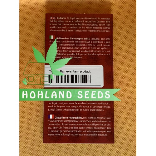 Tangerine Dream Auto