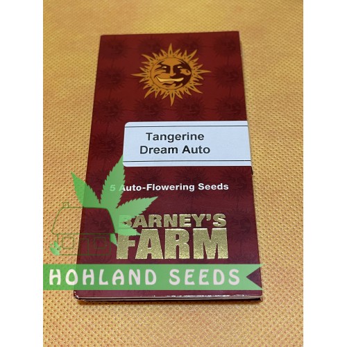 Tangerine Dream Auto