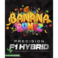 Banana Runtz Banana Runtz