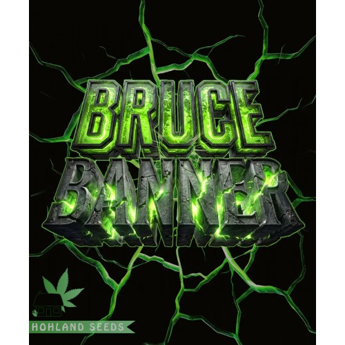 Bruce Banner Auto