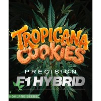 Tropicana Cookies Auto