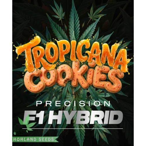 Tropicana Cookies Auto