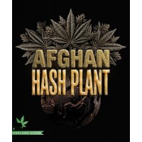 Afghan Hash Plant Auto