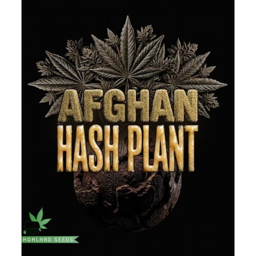 Afghan Hash Plant Auto