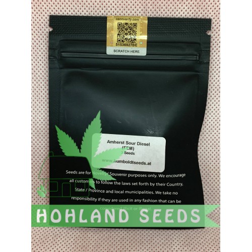 Amherst Sour Diesel