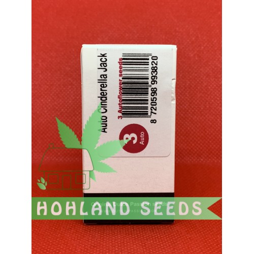 Auto Cinderella Jack Auto Cinderella Jack