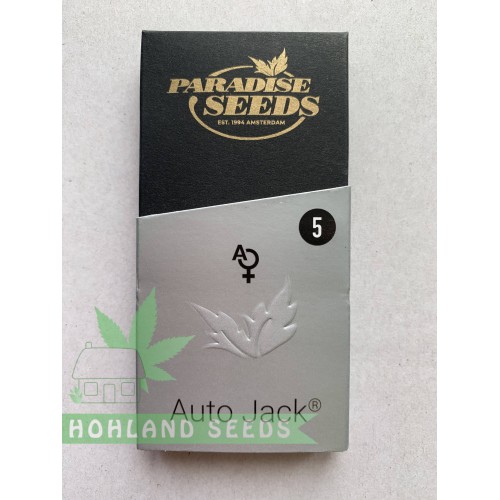 Auto Jack