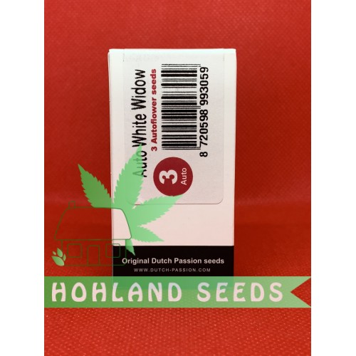 Auto White Widow