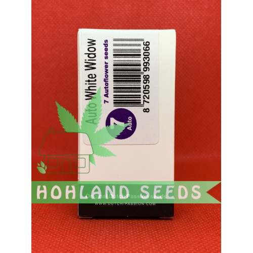 Auto White Widow