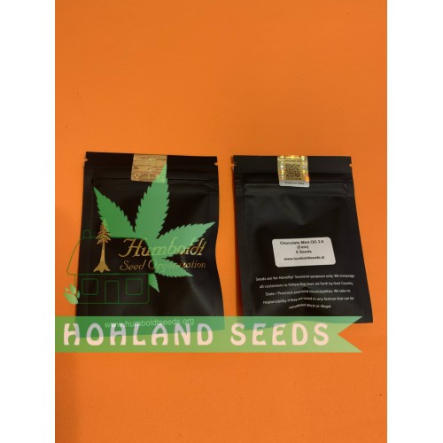 Chocolate Mint OG Chocolate Mint OG