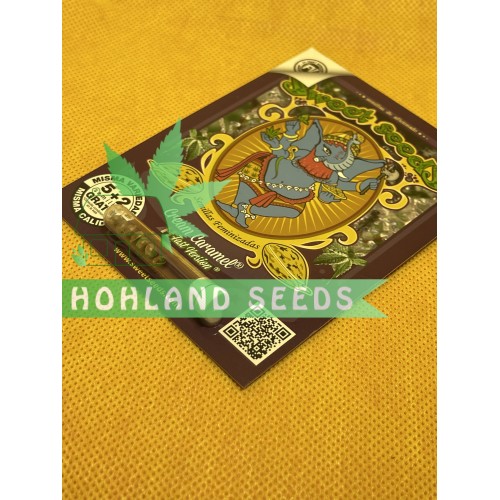 Cream Caramel F1 Fast Version