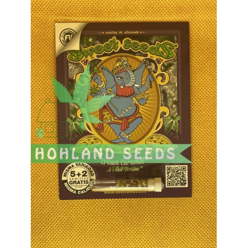 Cream Caramel F1 Fast Version