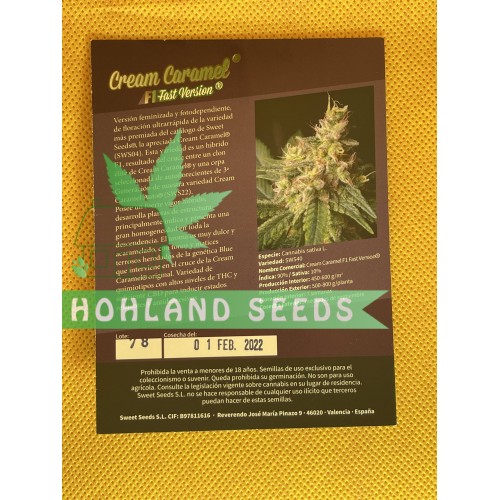 Cream Caramel F1 Fast Version