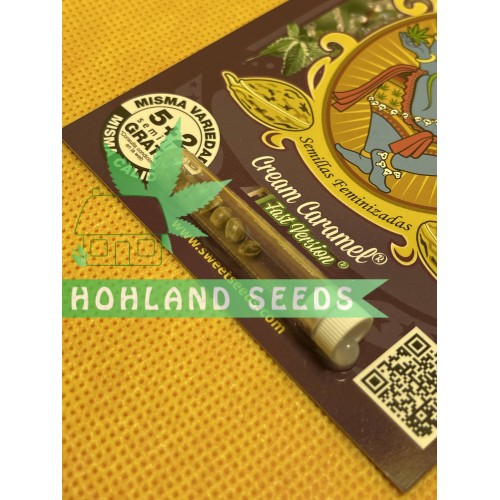 Cream Caramel F1 Fast Version