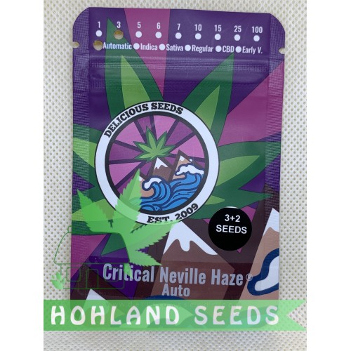 Critical Neville Haze Auto