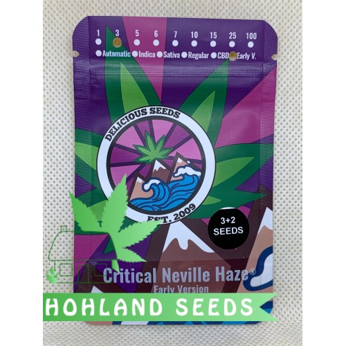 Critical Neville Haze Early Version