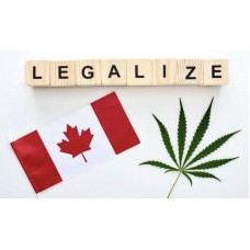 Оборот марихуаны в Канаде как пример всему миру