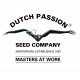 Dutch Passion Seeds Co.
