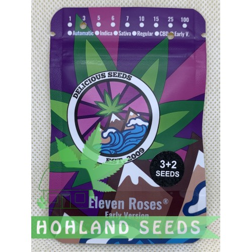 Eleven Roses Early Version