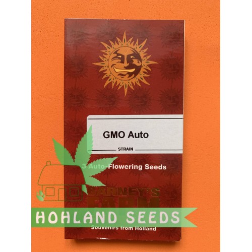 GMO Auto GMO Auto