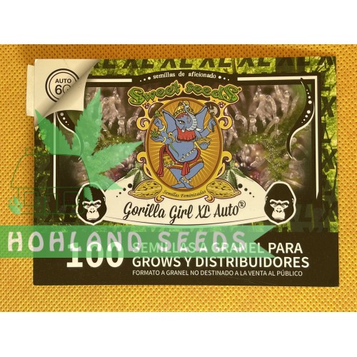 Gorilla Girl XL Auto Gorilla Girl XL Auto