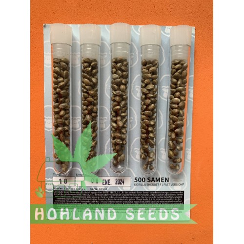 Gorilla Sherbet F1 Fast Version