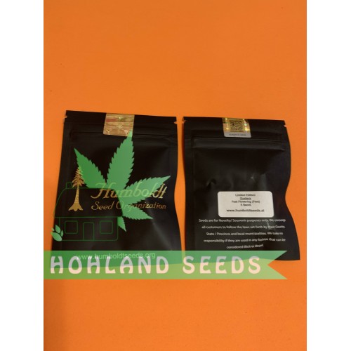 Gushers Fast Flowering Gushers Fast Flowering