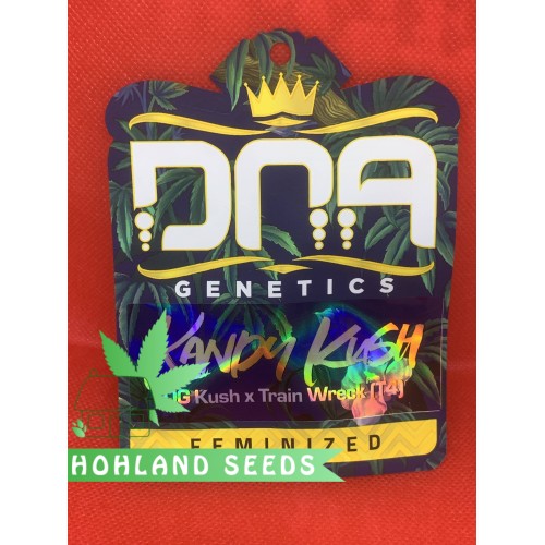 Kandy Kush