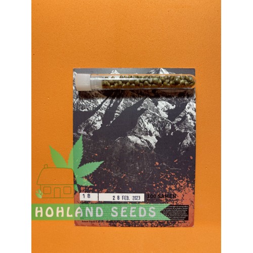 Killer Kush F1 Fast Version Killer Kush F1 Fast Version