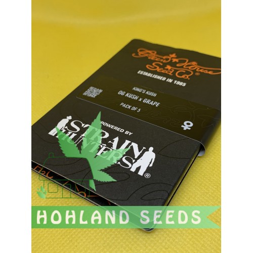 King`s Kush