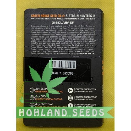 King`s Kush