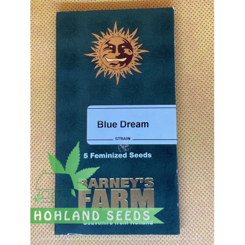 Blue Dream