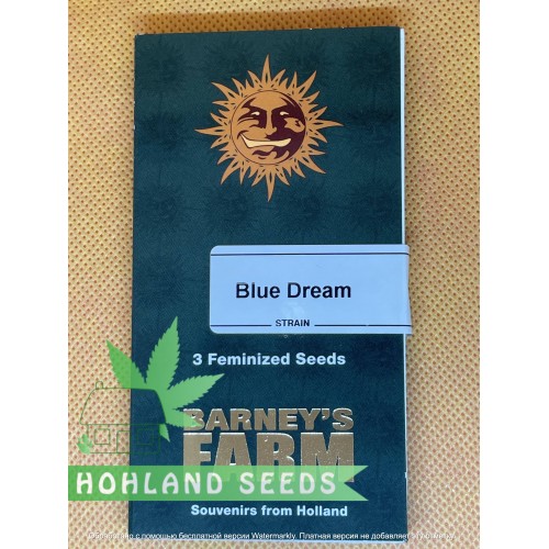 Blue Dream