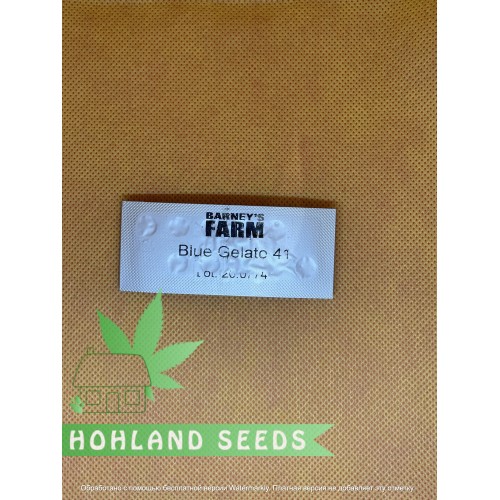 Blue Sunset Sherbert 