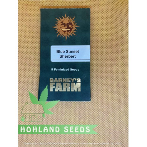 Blue Sunset Sherbert 