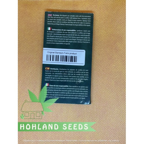 Blue Sunset Sherbert 