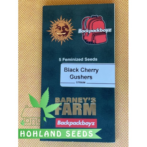 Black Cherry Gushers