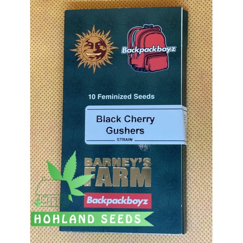 Black Cherry Gushers