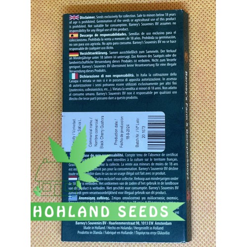 Black Cherry Gushers