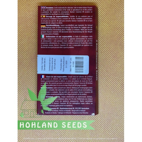 OG Kush Auto OG Kush Auto