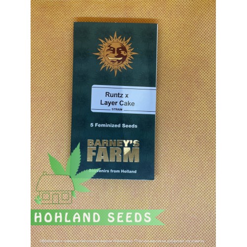 Runtz x Layer Cake Runtz x Layer Cake
