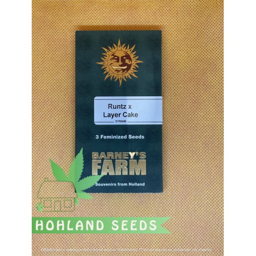 Runtz x Layer Cake Runtz x Layer Cake