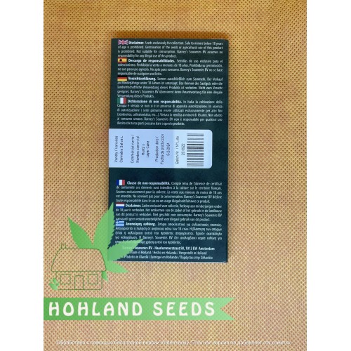 Runtz x Layer Cake Runtz x Layer Cake