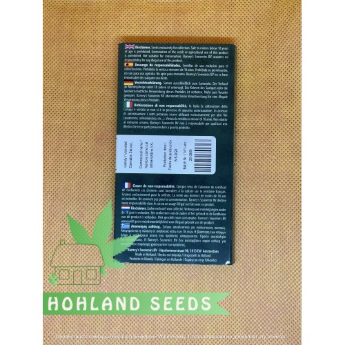 White Widow XXL Feminized