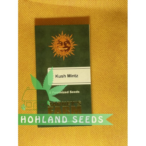 Kush Mintz